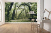 Komar Ancient Green Non Woven Wall Mural 450x280cm 9 Panels Ambiance | Yourdecoration.co.uk