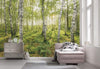 Komar Birch Trees Non Woven Wall Mural 400x250cm 4 Panels Ambiance | Yourdecoration.co.uk