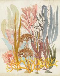 Komar Catchy Corals Non Woven Wall Murals 200x250cm 2 panels | Yourdecoration.co.uk