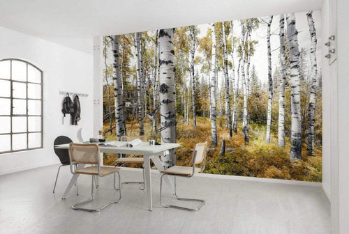 Komar Colorful Aspenwoods Non Woven Wall Mural 450x280cm 9 Panels Ambiance | Yourdecoration.co.uk