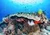 Komar Coral Reef Non Woven Wall Mural 400x280cm 8 Panels | Yourdecoration.co.uk