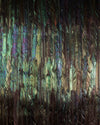 Komar Dark Wings Non Woven Wall Mural 200X250cm 4 Panels | Yourdecoration.co.uk