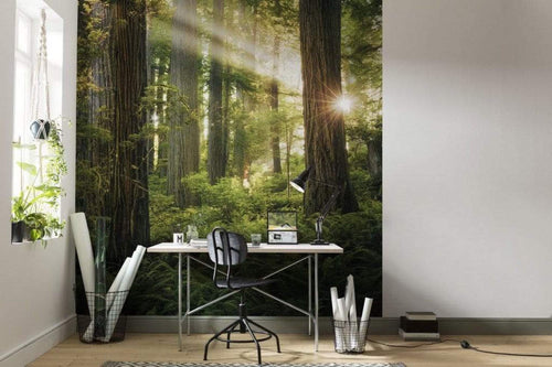 Komar Goblins Woods Non Woven Wall Mural 250x280cm 5 Panels Ambiance | Yourdecoration.co.uk