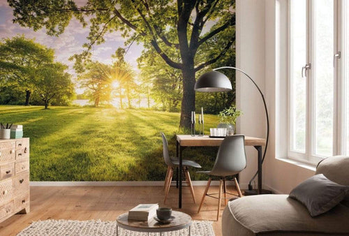 Komar Golden Moment Non Woven Wall Mural 400x250cm 4 Panels Ambiance | Yourdecoration.co.uk