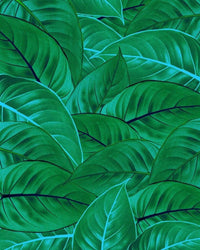 Komar Jungle Leaves Non Woven Wall Mural 200x250cm 2 Panels | Yourdecoration.co.uk