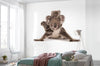 Komar Koala Non Woven Wall Mural 300X280Cm 6 Parts Ambiance | Yourdecoration.co.uk