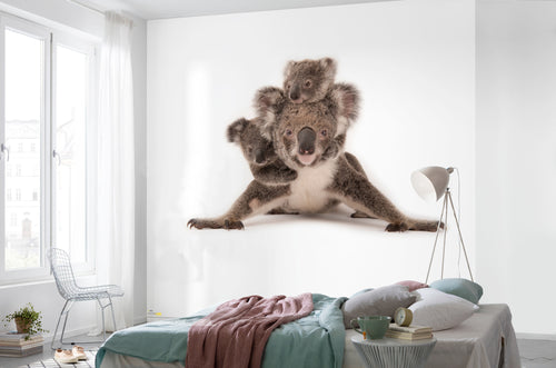 Komar Koala Non Woven Wall Mural 300X280Cm 6 Parts Ambiance | Yourdecoration.co.uk