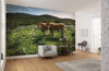 Komar Kuhparadies Non Woven Wall Mural 450x280cm 9 Panels Ambiance | Yourdecoration.co.uk