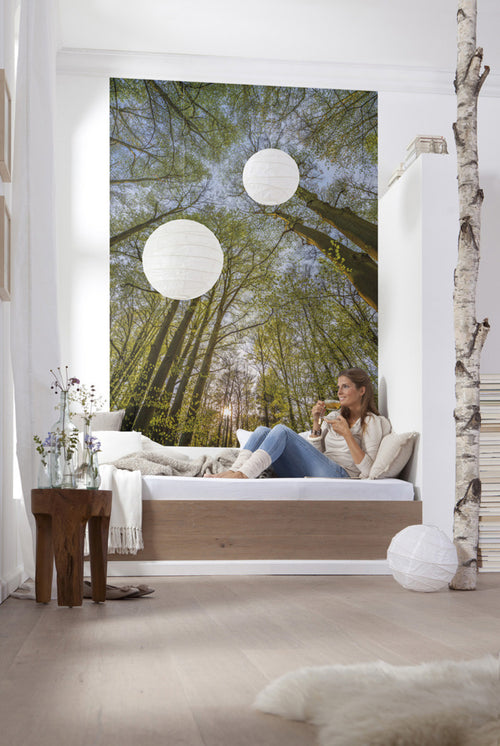 Komar Non Woven Wall Mural 4 522 Canopy Interieur | Yourdecoration.co.uk