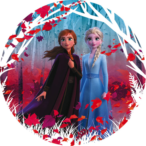 Komar Non Woven Wall Mural Dd1 006 Frozen2 Winter Is Coming | Yourdecoration.co.uk