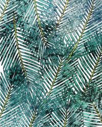 Komar Palm Canopy Non Woven Wall Mural 200x250cm 2 Panels | Yourdecoration.co.uk