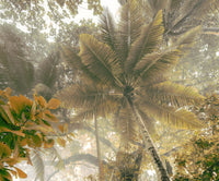 Komar Palms Panorama Non Woven Wall Murals 300x250cm 3 panels | Yourdecoration.co.uk