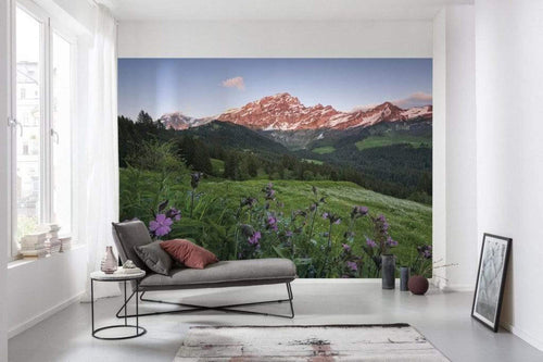 Komar Picturesque Switzerland Non Woven Wall Mural 450x280cm 9 Panels Ambiance | Yourdecoration.co.uk