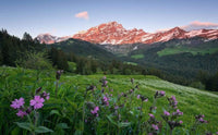 Komar Picturesque Switzerland Non Woven Wall Mural 450x280cm 9 Panels | Yourdecoration.co.uk