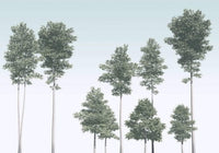 Komar Pines Non Woven Wall Mural 400x280cm 4 Panels | Yourdecoration.co.uk