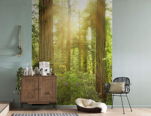 Komar Redwood Non Woven Wall Mural 200x250cm 2 Panels Ambiance | Yourdecoration.co.uk