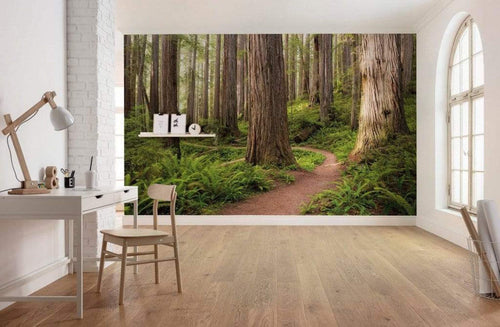 Komar Redwood Trail Non Woven Wall Mural 450x280cm 9 Panels Ambiance | Yourdecoration.co.uk