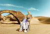 Komar Star Wars Lost Droids Wall Mural 368x254cm | Yourdecoration.co.uk