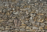 Komar Stone Wall Wall Mural 368x254cm | Yourdecoration.co.uk