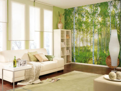 Komar Sunday Non Woven Wall Mural National Geographic 368x248cm | Yourdecoration.co.uk