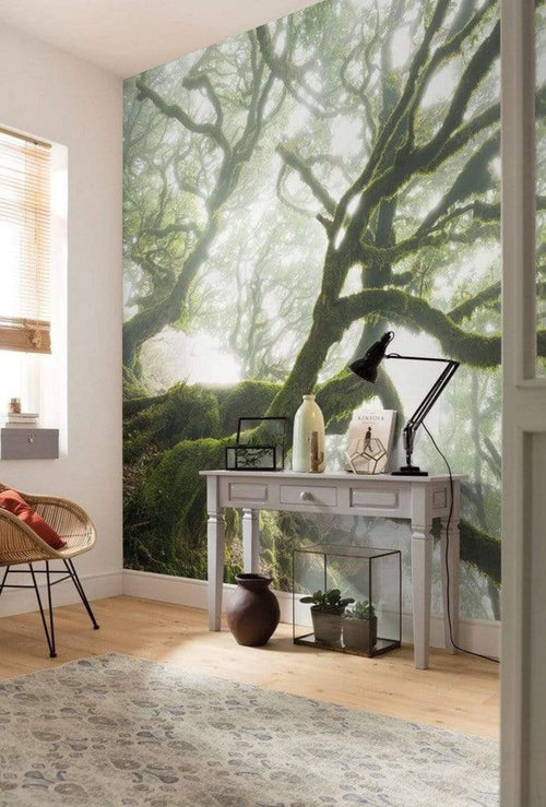 Komar The Forgotten Forest Non Woven Wall Mural 400x250cm 4 Panels Ambiance | Yourdecoration.co.uk