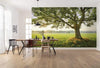 Komar The Magic Tree Non Woven Wall Mural 450x280cm 9 Panels Ambiance | Yourdecoration.co.uk
