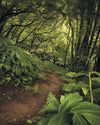 Komar The Path Non Woven Wall Mural 200x250cm 2 Panels | Yourdecoration.co.uk