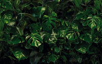 Komar Tropical Wall Non Woven Wall Mural 400x250cm 4 Panels | Yourdecoration.co.uk