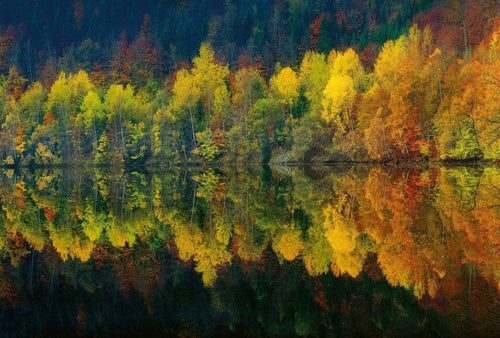 Wizard+Genius Autumn Forest Lake Non Woven Wall Mural 384x260cm 8 Panels | Yourdecoration.co.uk