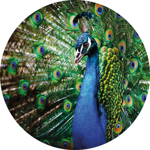 Wizard+Genius Beautiful Peacock Non Woven Wall Mural 140x140cm Round | Yourdecoration.co.uk