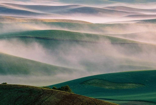 Wizard+Genius Foggy Hills I Non Woven Wall Mural 384x260cm 8 Panels | Yourdecoration.co.uk