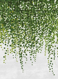 Wizard+Genius Hanging Plants Non Woven Wall Mural 192x260cm 4 Panels | Yourdecoration.co.uk