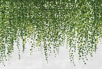 Wizard+Genius Hanging Plants Non Woven Wall Mural 384x260cm 8 Panels | Yourdecoration.co.uk