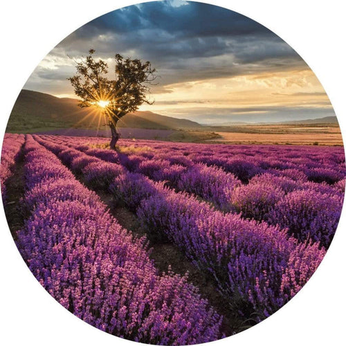 Wizard+Genius Lavender in the Provence Non Woven Wall Mural 140x140cm Round | Yourdecoration.co.uk