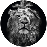 Wizard+Genius Lion Non Woven Wall Mural 140x140cm Round | Yourdecoration.co.uk