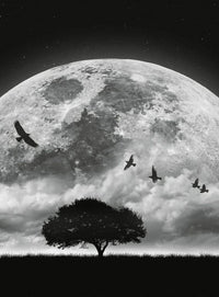 Wizard+Genius Moon and Birds Non Woven Wall Mural 192x260cm 4 Panels | Yourdecoration.co.uk