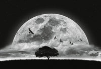 Wizard+Genius Moon and Birds Non Woven Wall Mural 384x260cm 8 Panels | Yourdecoration.co.uk