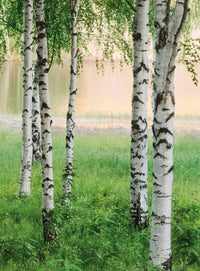 Wizard+Genius Nordic Forest Non Woven Wall Mural 192x260cm 4 Panels | Yourdecoration.co.uk