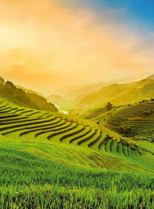 Wizard+Genius Terraced Rice Field In Vietnam Non Woven Wall Mural 192x260cm 4 Panels | Yourdecoration.co.uk