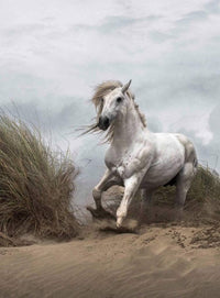 Wizard+Genius White Wild Horse Non Woven Wall Mural 192x260cm 4 Panels | Yourdecoration.co.uk
